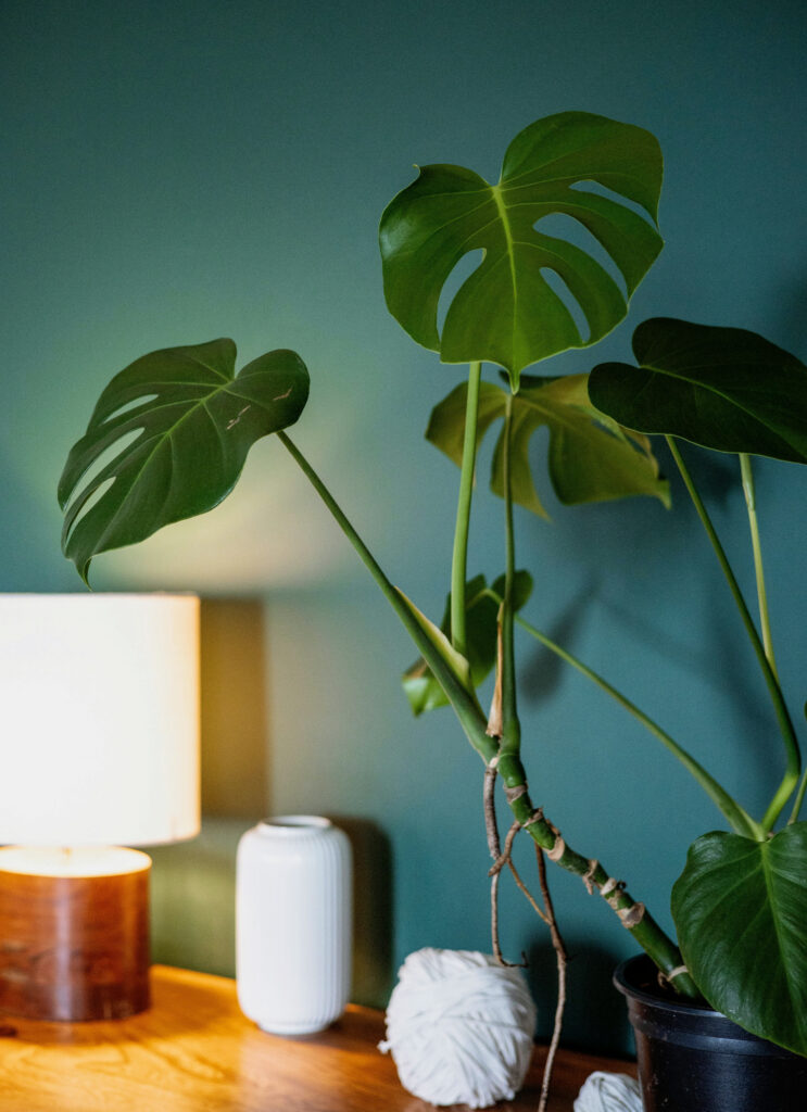 peaceful2b peaceful2b